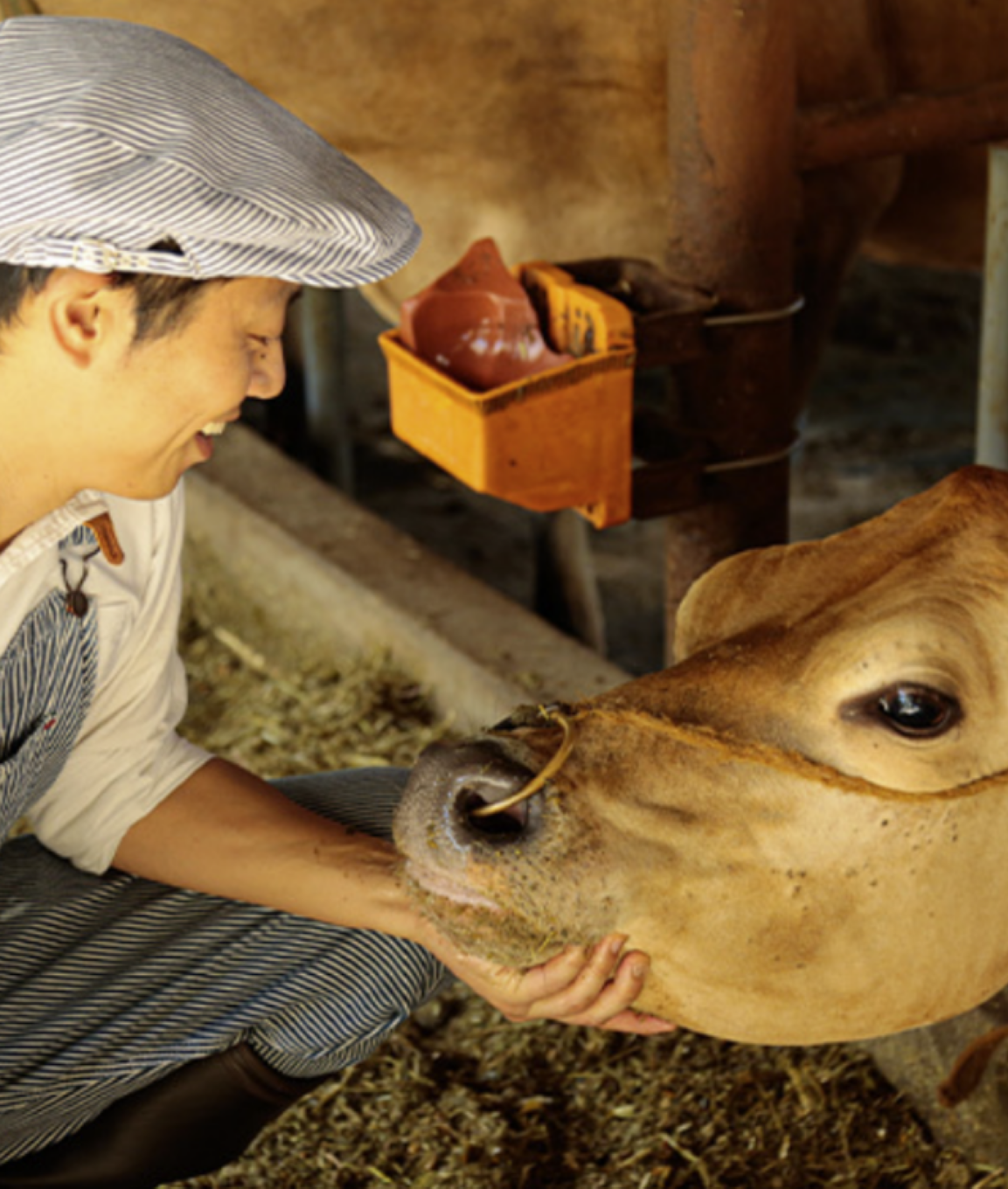 昭和50年創業の酪農家が自信を持ってお届けする